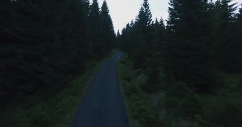 Car driving trough the night forest. Aerial. 4K Stock Footage 137087954
