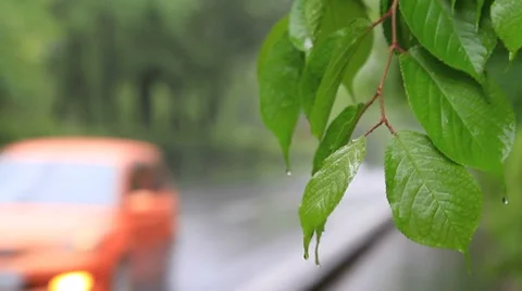 Car driving on wet road. Stock Footage 7740845
