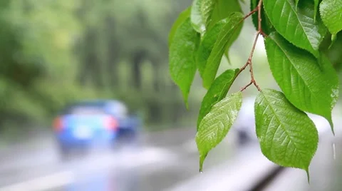 Car driving on wet road. Stock Footage 7740862