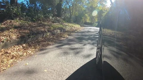Car Driving Wheel Pov Close Up on the road with autumn trees Stock Footage 145486855