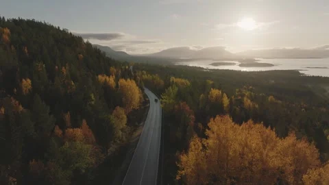Car driving on winding road through autumn forest at sunset Stock Footage 310771797