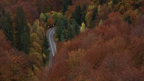 Car driving winding road through autumn forest Stock Footage 330770061