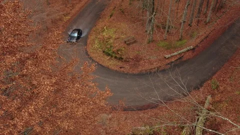 Car driving winding road through autumn forest Stock Footage 330770761