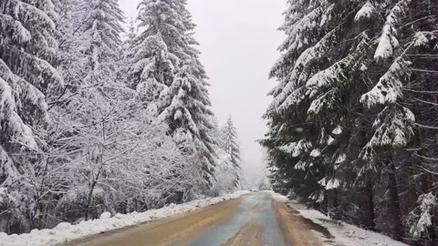 Car driving in the winter. Forest and trees full of snow Stock Footage 231720488