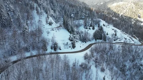 Car driving in a winter setting. lonely road with snowy trees Stock Footage 296639921