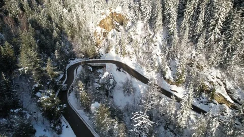 Car driving in a winter setting. lonely road with snowy trees Stock Footage 296644163