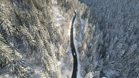 Car driving in a winter setting. lonely road with snowy trees Stock Footage 296644594