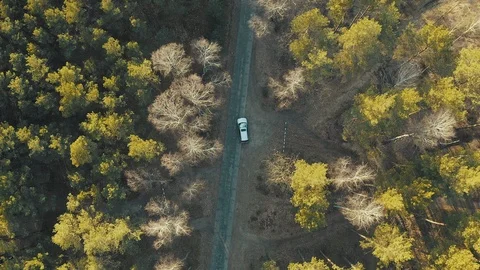 Car from drone. Stock Footage 127179759