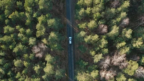 Car from drone. Stock Footage 127182585