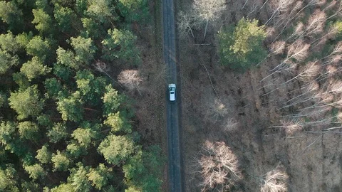 Car from drone. Stock Footage 127183263