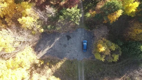 Car at the edge of the forest Stock Footage 163178714