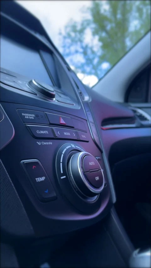 Car Emergency Button Press Stock Footage 308858738