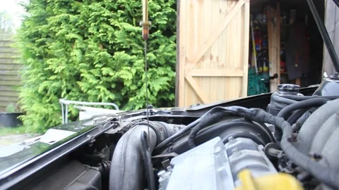 Car engine oil check Stock Footage 131319446