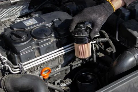 Car engine oil filter replacement. Transmission and maintenance. Stock Photos