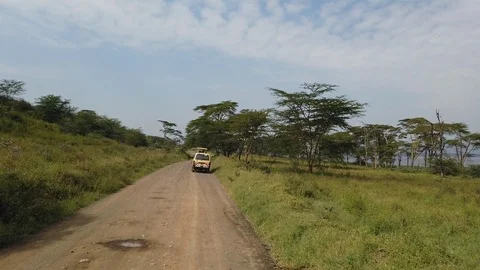 A car excursion Stock Footage 116174836