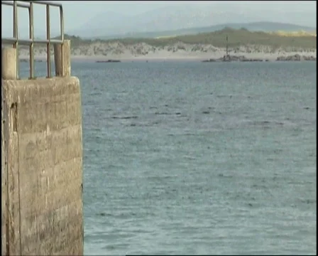 Car Ferry Arrives Video stock 493084
