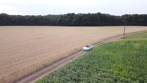Car on field aerial view Stock-Footage 221001276