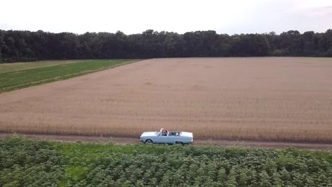 Car on field aerial view Stock-Footage 221001285