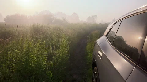 Car in the field at dawn Stock Footage 201028699