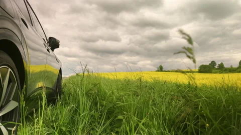 Car in the field at dawn Stock Footage 201268318