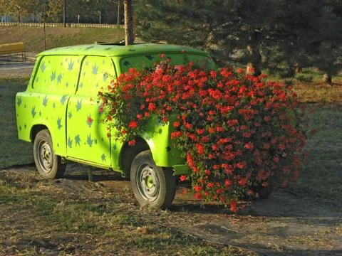 Car with flowers Stock Photos