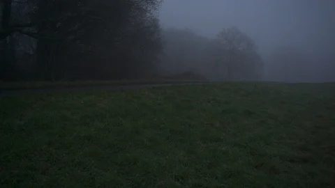 Car in fog Stock Footage 123570041