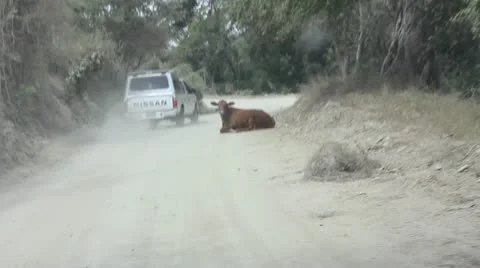 Car Stock Footage 11629555