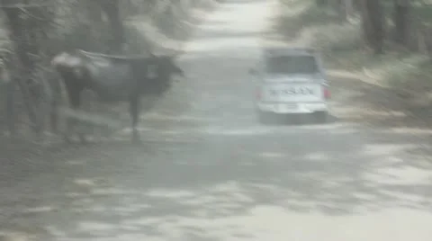 Car Stock Footage 11629580