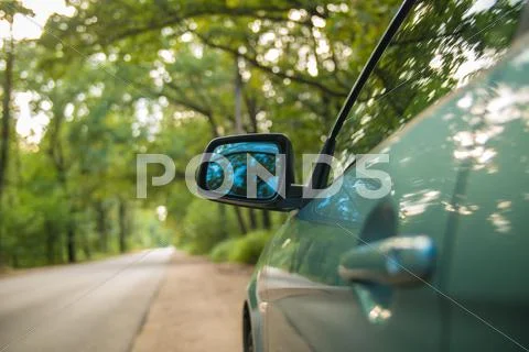 The car in the forest. Camera is outside the car Stock Photos