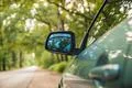 The car in the forest. Camera is outside the car Photo