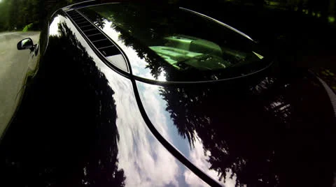 Car in the forest Stock Footage 24757077