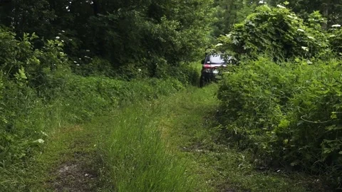 Car in the forest Video stock 75569449