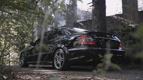 Car in forest Stock Footage 227164504