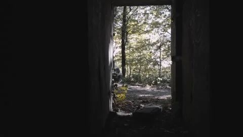 Car in forest Stock Footage 227164505