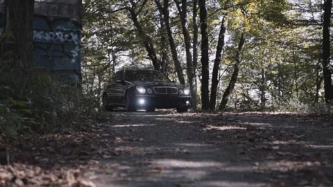 Car in forest Stock Footage 227164514