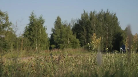 A car in the forest is out of focus, moving in the forest belt. Car in nature Stock Footage 280384425
