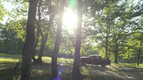 A car in the forest is out of focus, moving in the forest belt. Car in nature Stock Footage 280384487