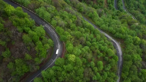 Car on a forest pass Stock Footage 168954932