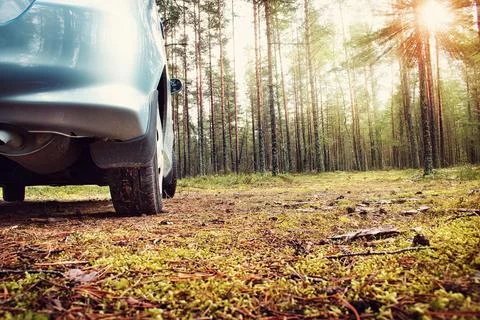 Car in the forest Stock Photos