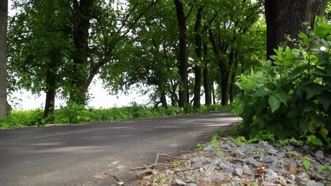 Car on a forest road Stock Footage 72860154