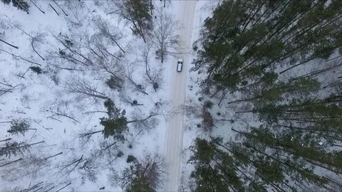 Car on a forest road Stock-Footage 83689823