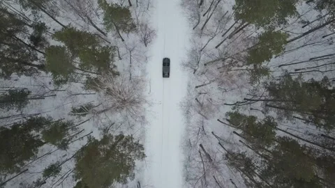 A car on a forest road Stock Footage 165721873