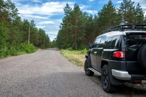 Car in the forest road Stock Photos