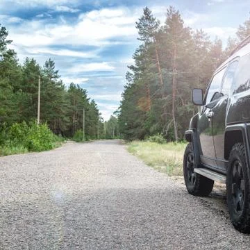 Car in the forest road Stock Photos