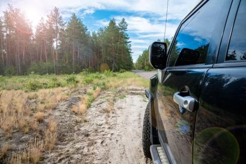 Car in the forest road Stock Photos