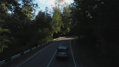 Car in the forest on a summer day Stock Footage 86423520