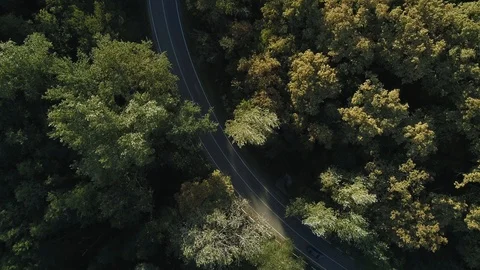 Car in the forest on a summer day Stock Footage 86423679