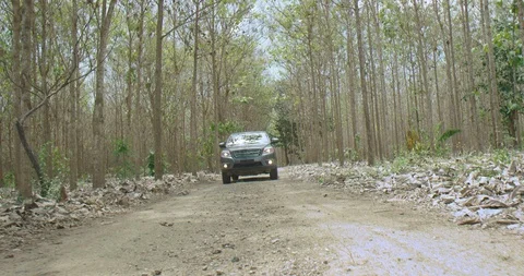 Car in forrest Stock Footage 125081910