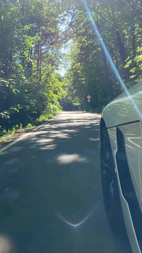 Car forrest road vertical 01 Stock Footage 335749169