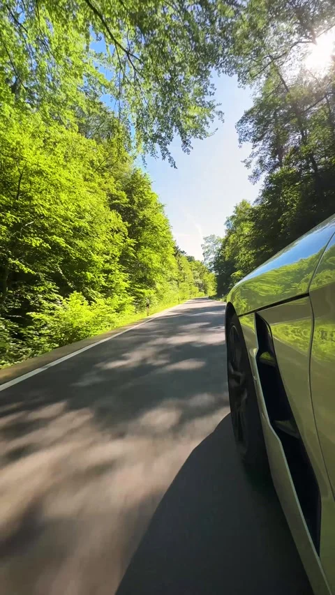 Car forrest road vertical 06-rotation Stock Footage 335749185